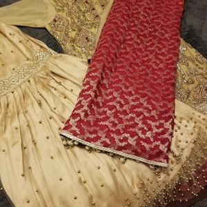 Pakistani/Indian/South Asian wedding dress